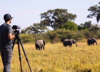 Specialist Photographic Safaris - tailored photography trips in Africa