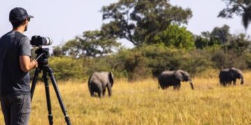 Specialist Photographic Safaris - tailored photography trips in Africa
