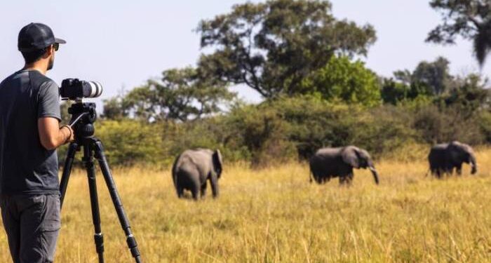 Specialist Photographic Safaris - tailored photography trips in Africa