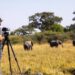 Specialist Photographic Safaris - tailored photography trips in Africa